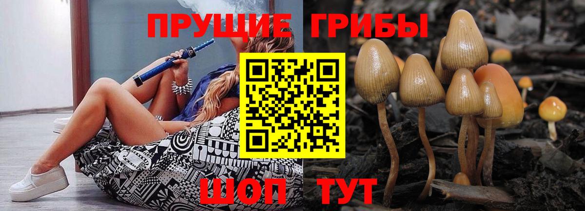 Псилоцибиновые грибы мицелий Серпухов
